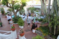 ischia14
