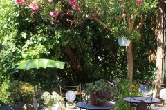 ischia2