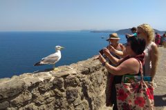 ischia26