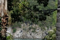ischia42