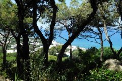 ischia43