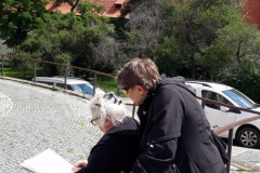 praha19