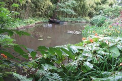 IMG-0695